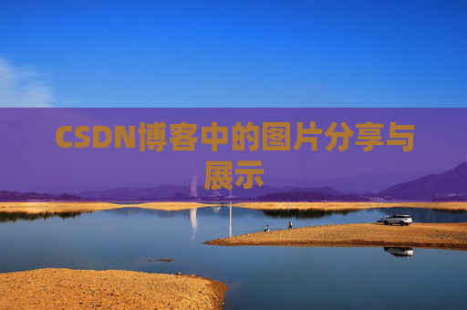 CSDN博客中的图片分享与展示